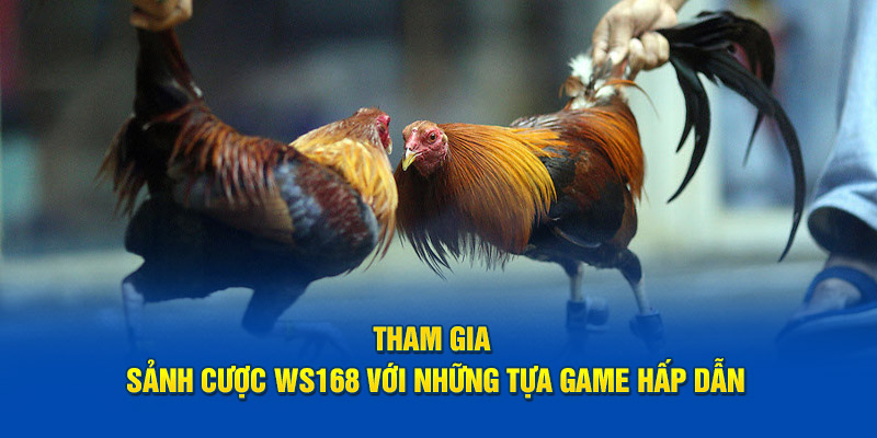 Tham gia sảnh cược WS168 với những tựa game hấp dẫn